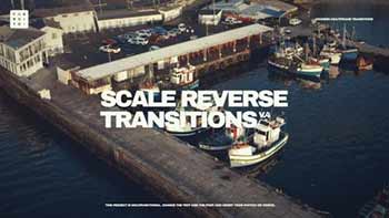 Scale Reverse Transitions-842781