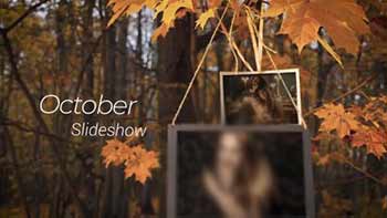 Autumn Forest Slideshow-856961