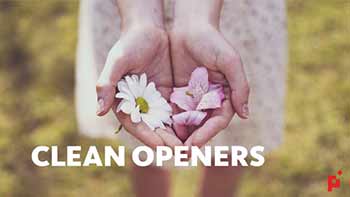 Clean Openers-21965209