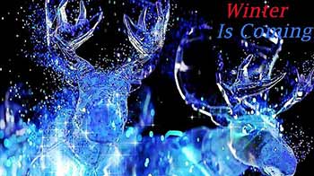 Winter Is Coming-880326