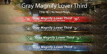 Gray Magnify Lower Third-3029036
