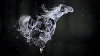 Splashing Horse Logo Reveal-20457656