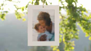 Family Tree-22613411