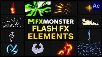 Flash FX Pack 06-31128489