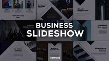 Business Slides-23431687