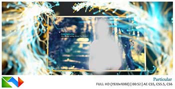 Particular-4071840