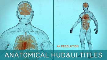 Anatomical HUD-31538280