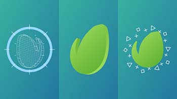 Grid Logo Transition-22678706