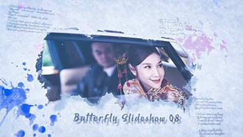 Butterfly Slideshow-31997826
