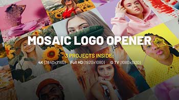 Mosaic Logo Opener-32004415