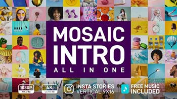 Mosaic Intro-33065272