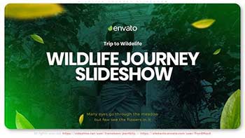 Wildlife Journey Slideshow-33481975