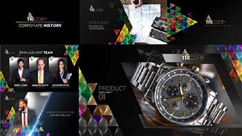 3D Triangle Concept Corporate Profile-21482481