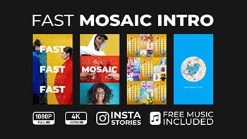 Fast Mosaic Intro-33738045