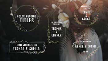 Color Wedding Titles-33791614