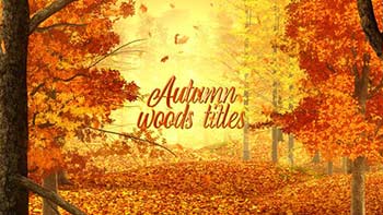 Autumn Woods Titles-33925235