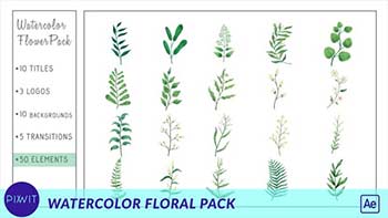 Watercolor Flower Pack-33428736
