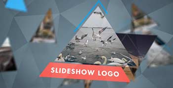 Triangular Mini Slideshow Logo Mix-10325228