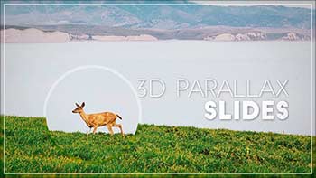 3D Parallax Slides-11041583