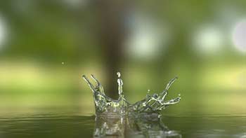 Water Drop Logo Reveal-26566618