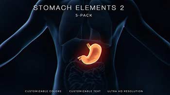 Stomach Elements 2-33200534