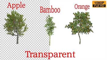 3 Types Tree Animation Pack-24132907