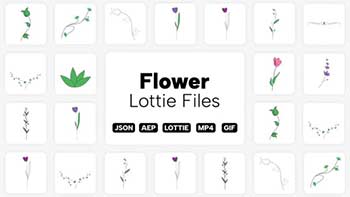 Flower Lottie Elements-39551704