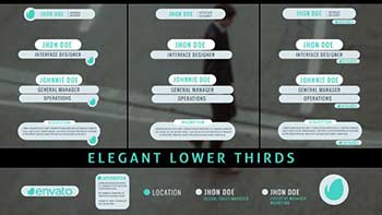 Elegant Lower Thirds-15008473