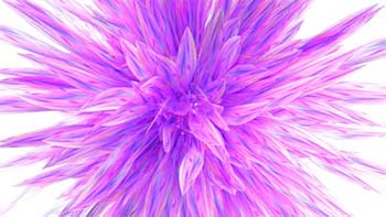 Pink Flower Logo Reveal-38952968
