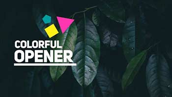 Colorful Opener-18683146