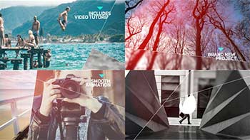 Elegant Line Slideshow-39801332