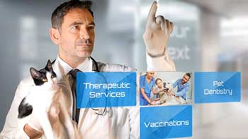 Vet Clinic-Pet Veterinary Hospital Intro-19675404