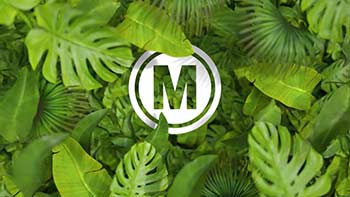 Nature Logo-1056395