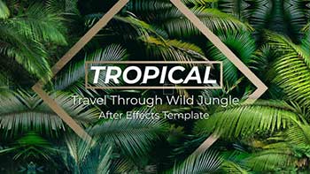 Jungle Tropical Slideshow-40108191