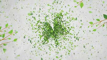 Green Eco Logo Reveal-242081