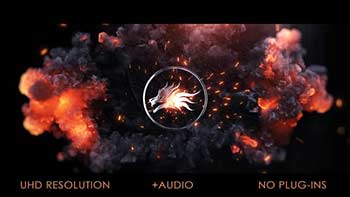 Fire Logo Impact-40170779