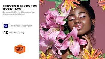 Leaves Flowers Overlays-40203359