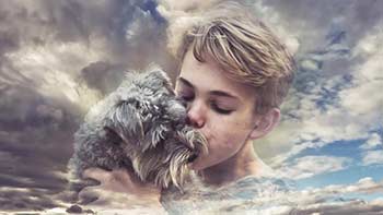 Serious Emotional Slideshow-1287190