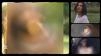Split Screens Kit-1034869