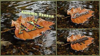 Autumn Yellow Leaf And Logo-40538938