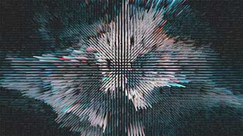 Innear Hierarchy 2 5-11178716