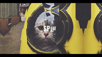 Split Opener-21512320