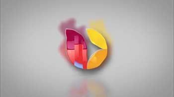 Simple Reflect Colorful Logo-1177261