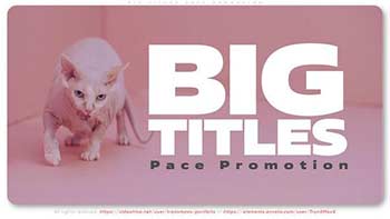 Big Titles Pace Promotion-41431831
