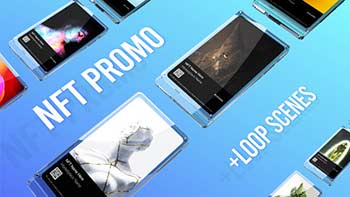 NFT Promo And Looped NFT Displays-1302623