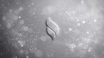 Luxury Clean Logo-41476887