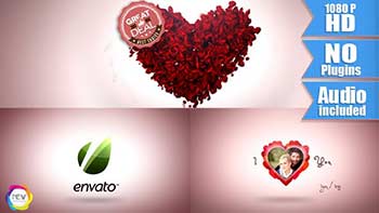 Valentine Day with Rose Petals-6602560