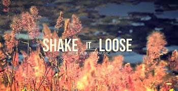 Shake It Loose-7947492