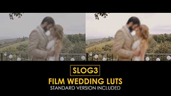 Slog3 Film Wedding And Standard Luts-1027127