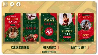 Christmas Sale Stories V1
